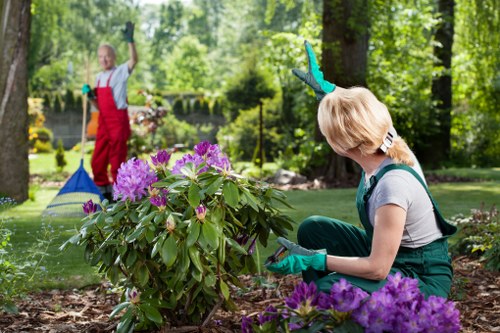 Residential soft landscaping in Sevenkings for front gardens and small outdoor spaces