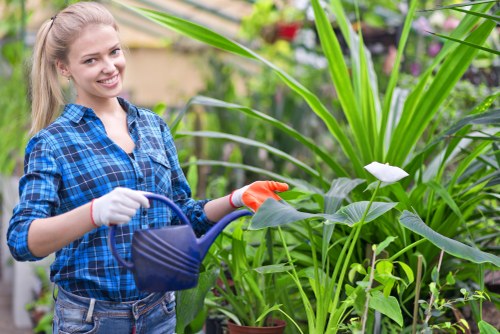 Landscaping Sevenkings pricing overview for garden clearance and design jobs