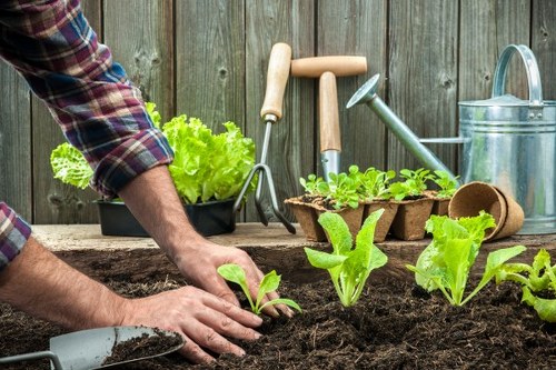 Patio, planting, and low-maintenance landscaping options in Sevenkings