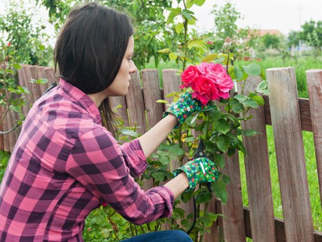 Local transfer station handling separated landscaping waste