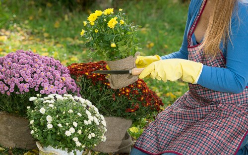 Professional turf installation process for a Sevenkings home or business