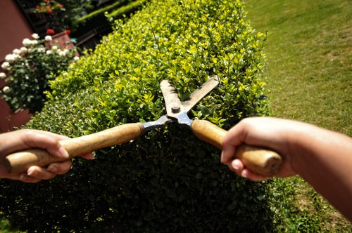 SSL protected online payment process for landscaping services