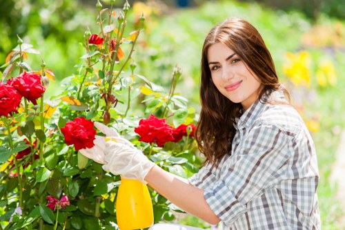 Supplier due diligence and compliance review