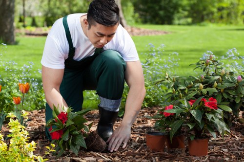Safe and organised landscaping operation in Sevenkings