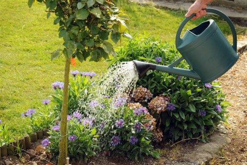 Initial complaint details being recorded for landscaping work