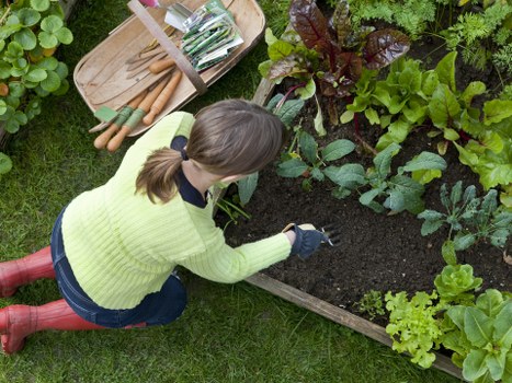 Accessibility request support for Landscaping Sevenkings website users