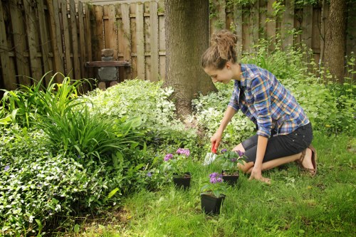 Preparing soil for new lawn turf in Sevenkings