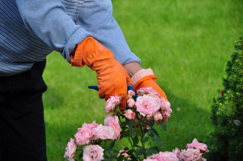 Public liability insurance protecting landscaping work in Sevenkings