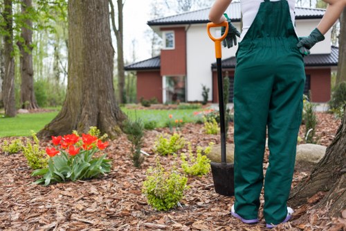 Commercial soft landscaping in Sevenkings with tidy frontage planting and low-maintenance beds