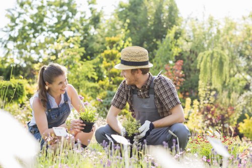 Staff training and PPE used during professional landscaping tasks