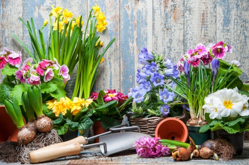 Healthy outdoor work practices used in a landscaping project